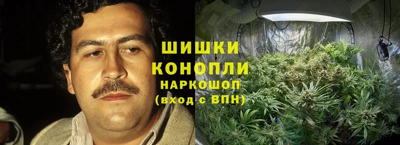 Конопля SATIVA & INDICA  Будённовск 